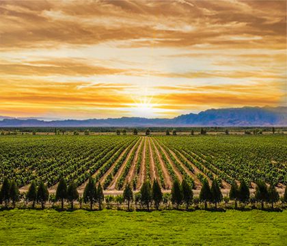 寧夏銀川2日1晚私家團(tuán)